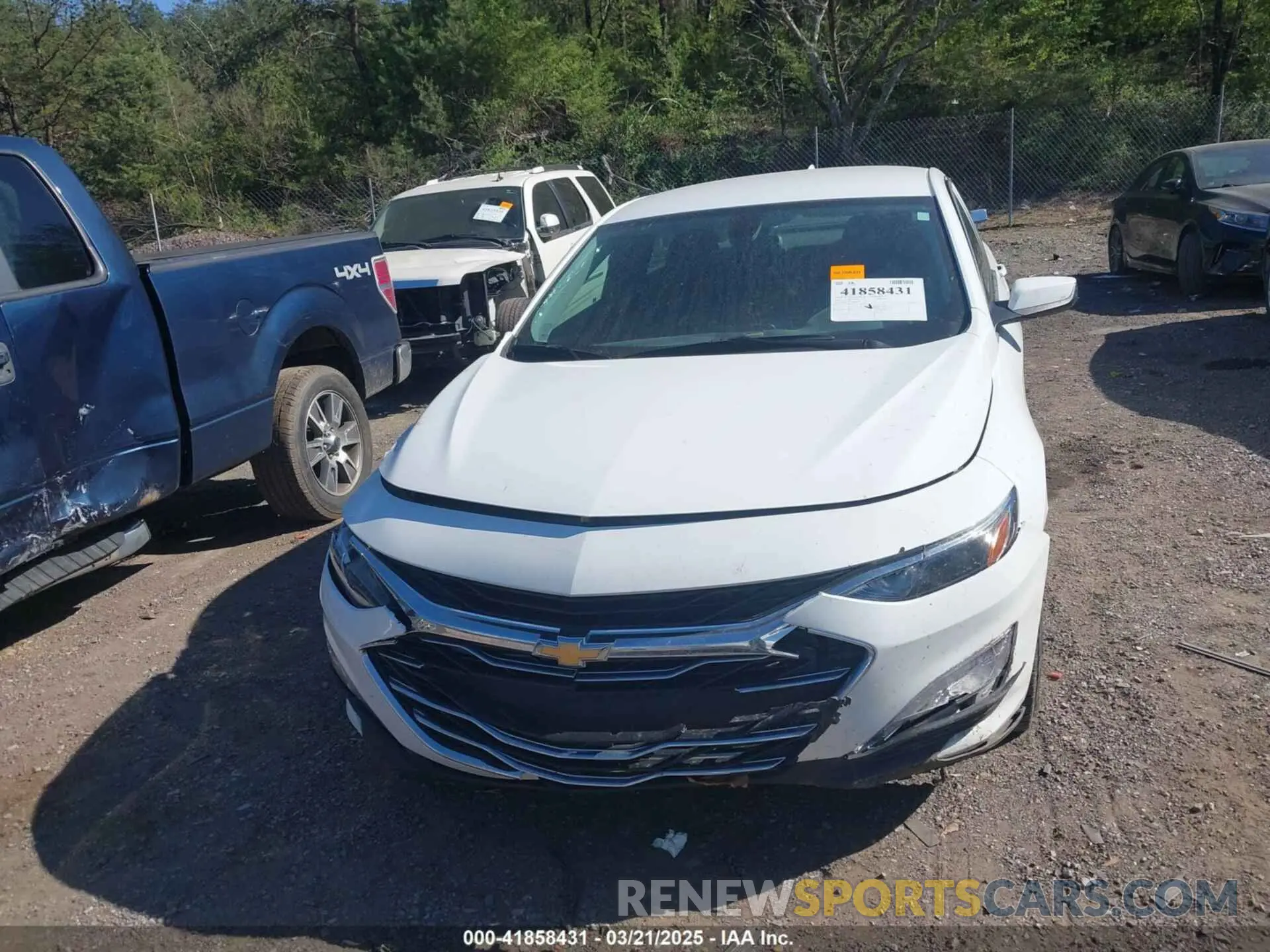 12 Photograph of a damaged car 1G1ZD5ST5MF071268 CHEVROLET MALIBU 2021