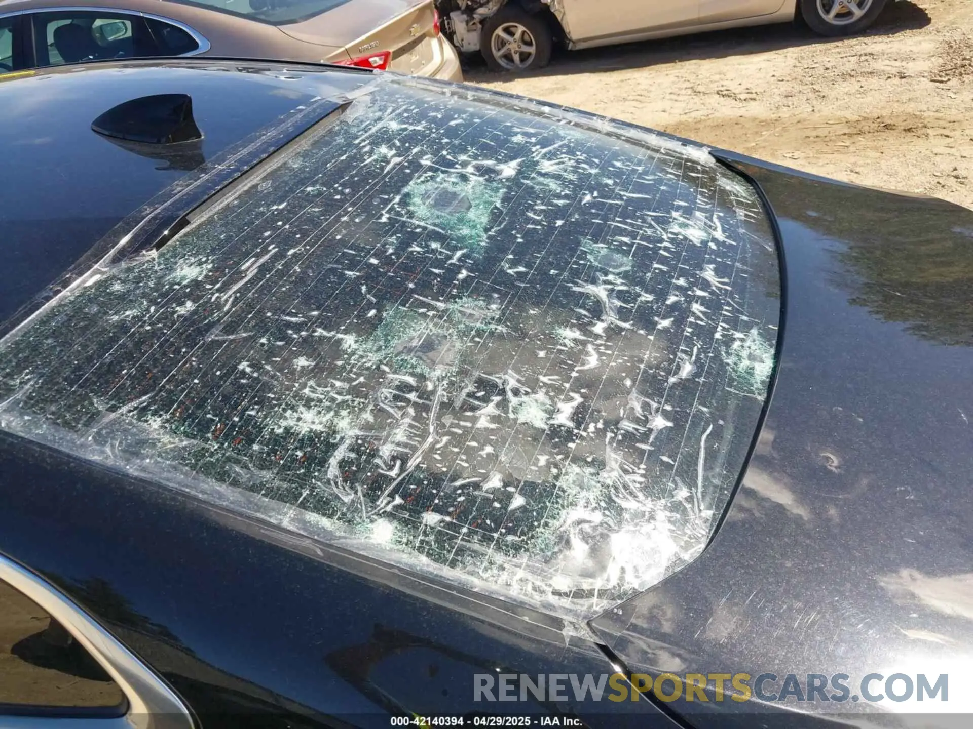 19 Photograph of a damaged car 1G1ZD5ST8MF003093 CHEVROLET MALIBU 2021