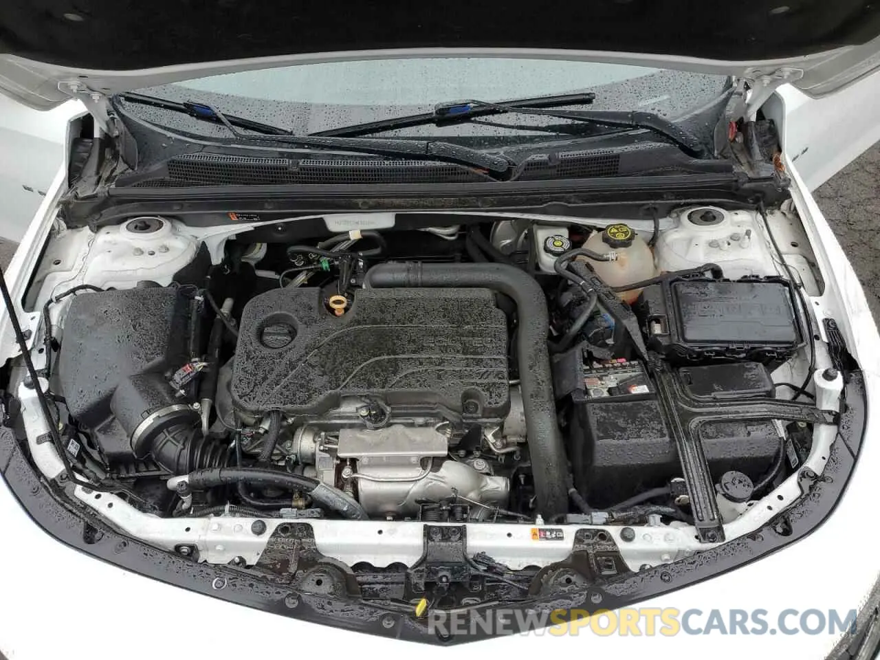 13 Photograph of a damaged car 1G1ZD5ST8MF060376 CHEVROLET MALIBU 2021