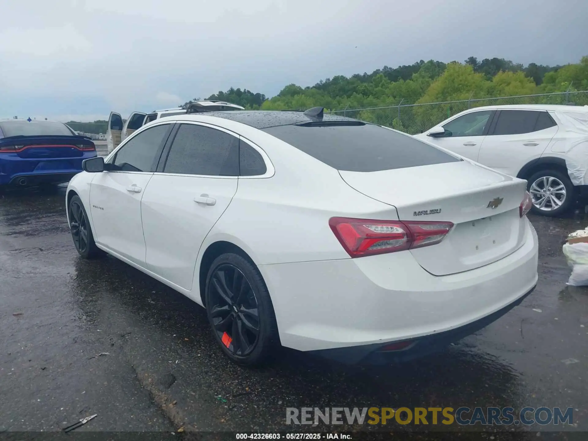 3 Photograph of a damaged car 1G1ZD5STXMF010935 CHEVROLET MALIBU 2021