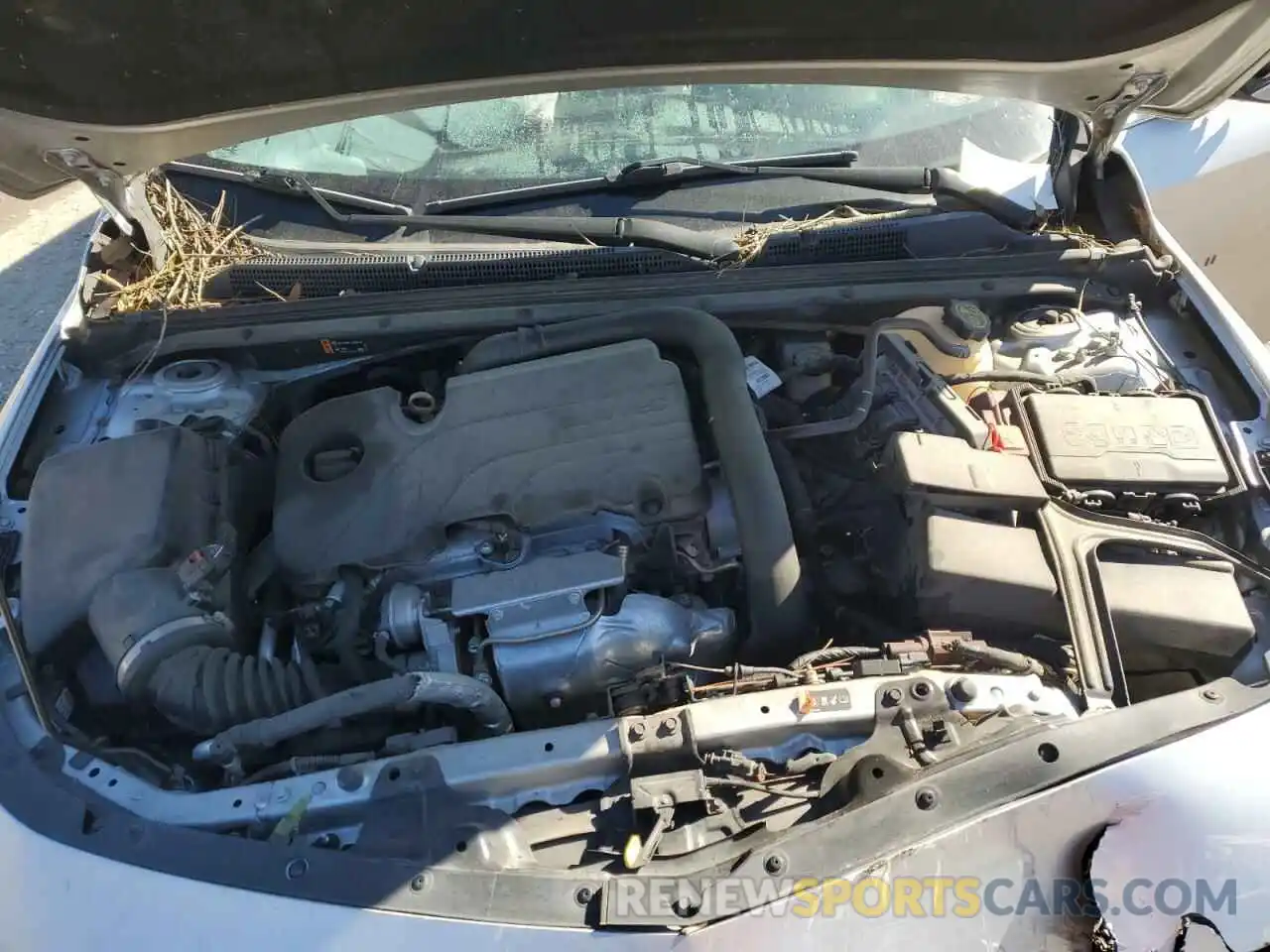 11 Photograph of a damaged car 1G1ZD5STXMF052246 CHEVROLET MALIBU 2021