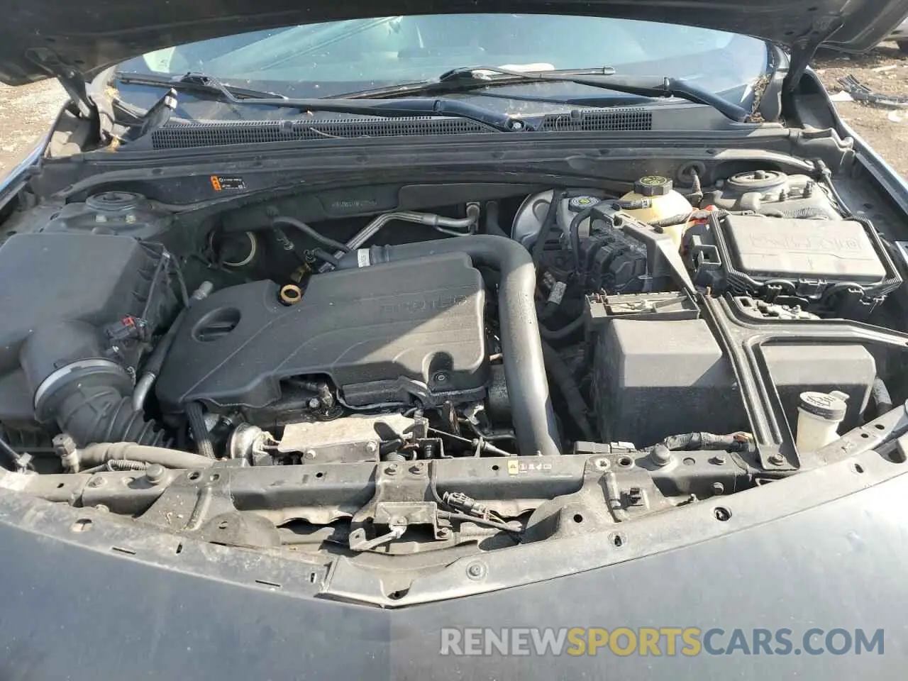 11 Photograph of a damaged car 1G1ZG5ST7MF037260 CHEVROLET MALIBU 2021