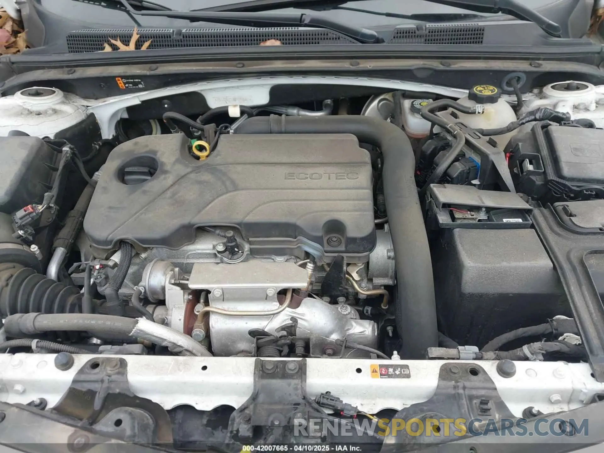 10 Photograph of a damaged car 1G1ZG5ST9MF048647 CHEVROLET MALIBU 2021