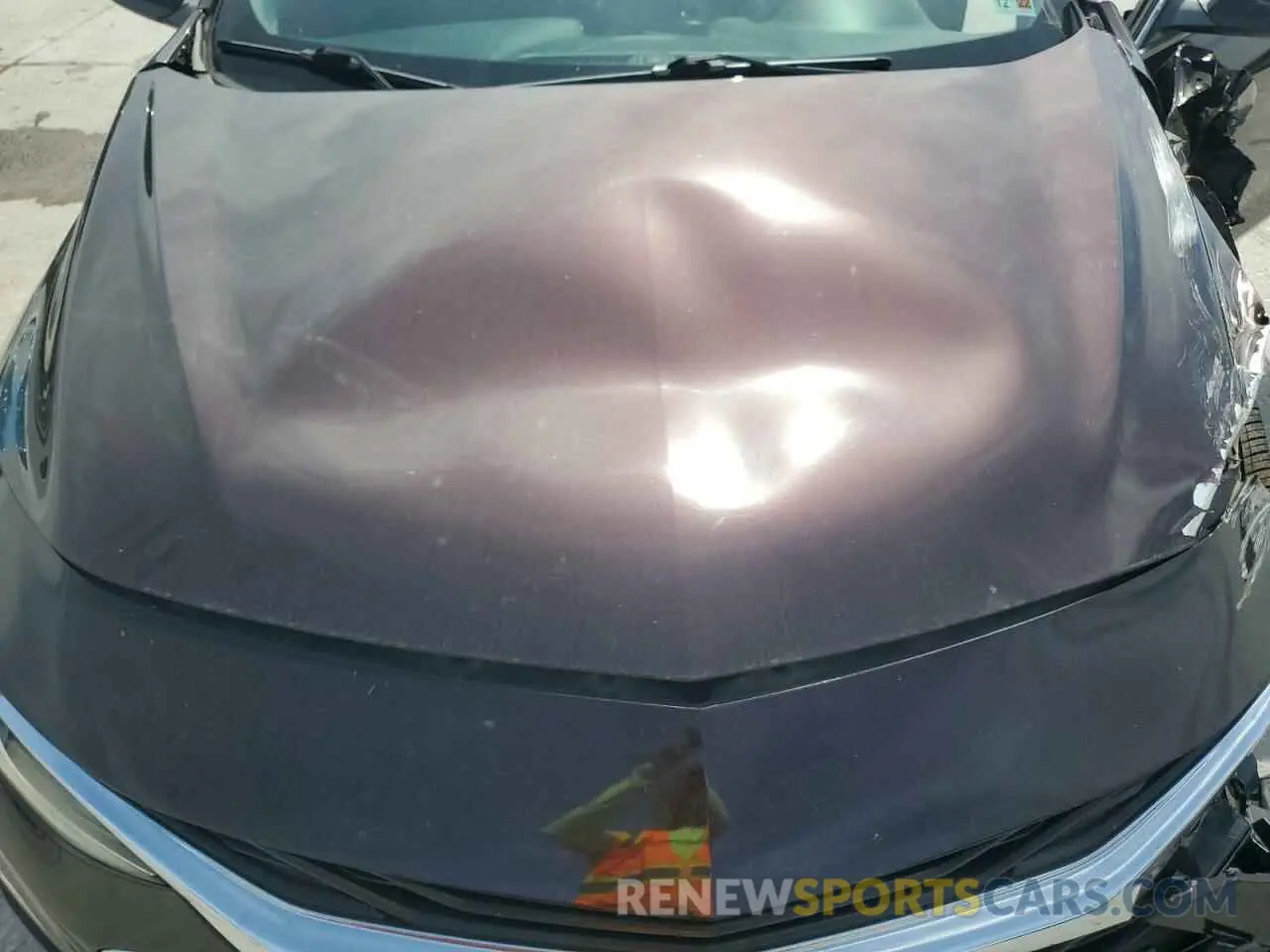 13 Photograph of a damaged car 1G1ZG5STXMF013017 CHEVROLET MALIBU 2021