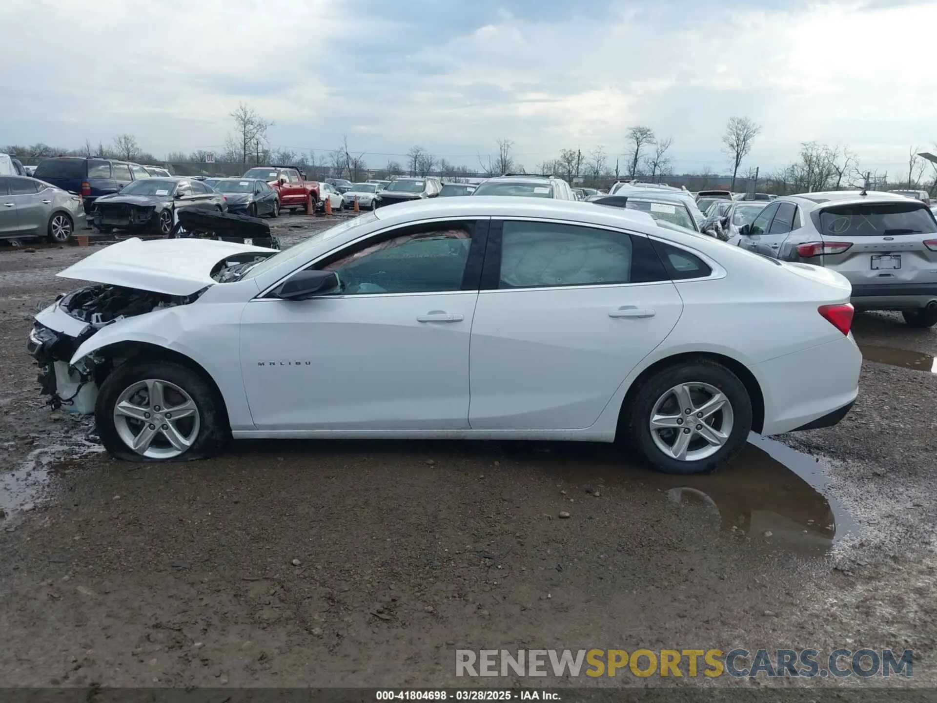 14 Photograph of a damaged car 1G1ZB5ST6NF210427 CHEVROLET MALIBU 2022