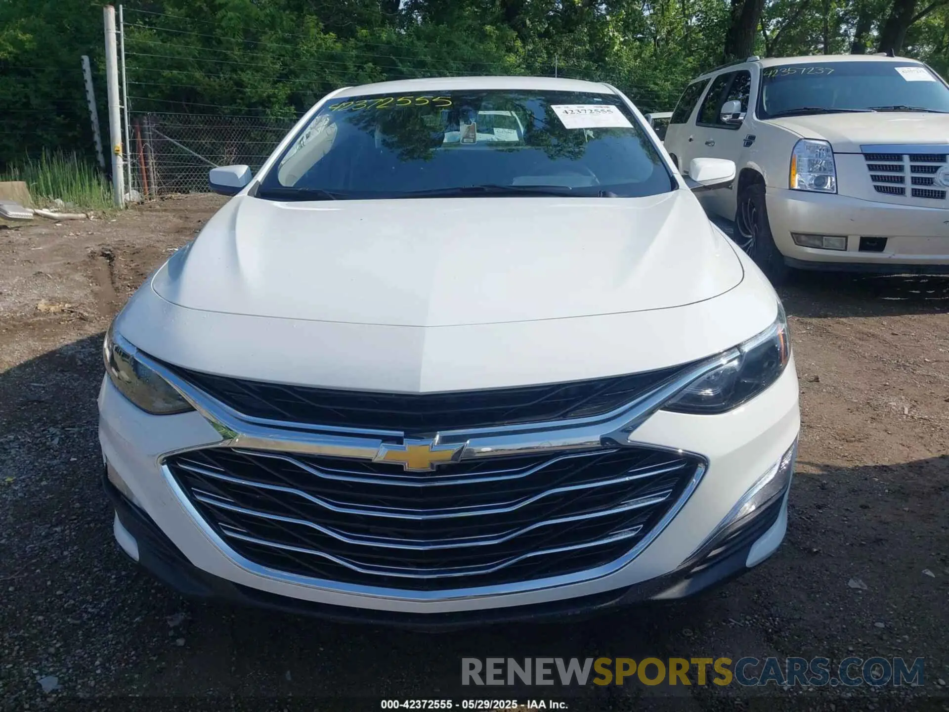 12 Photograph of a damaged car 1G1ZC5ST0NF146513 CHEVROLET MALIBU 2022