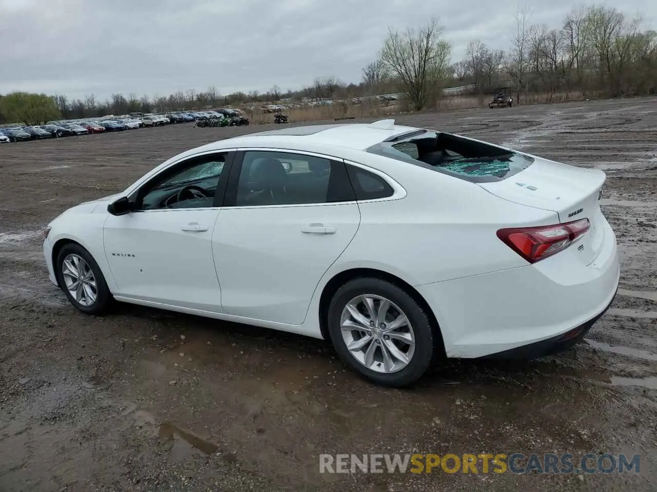 2 Photograph of a damaged car 1G1ZD5ST4NF116105 CHEVROLET MALIBU 2022