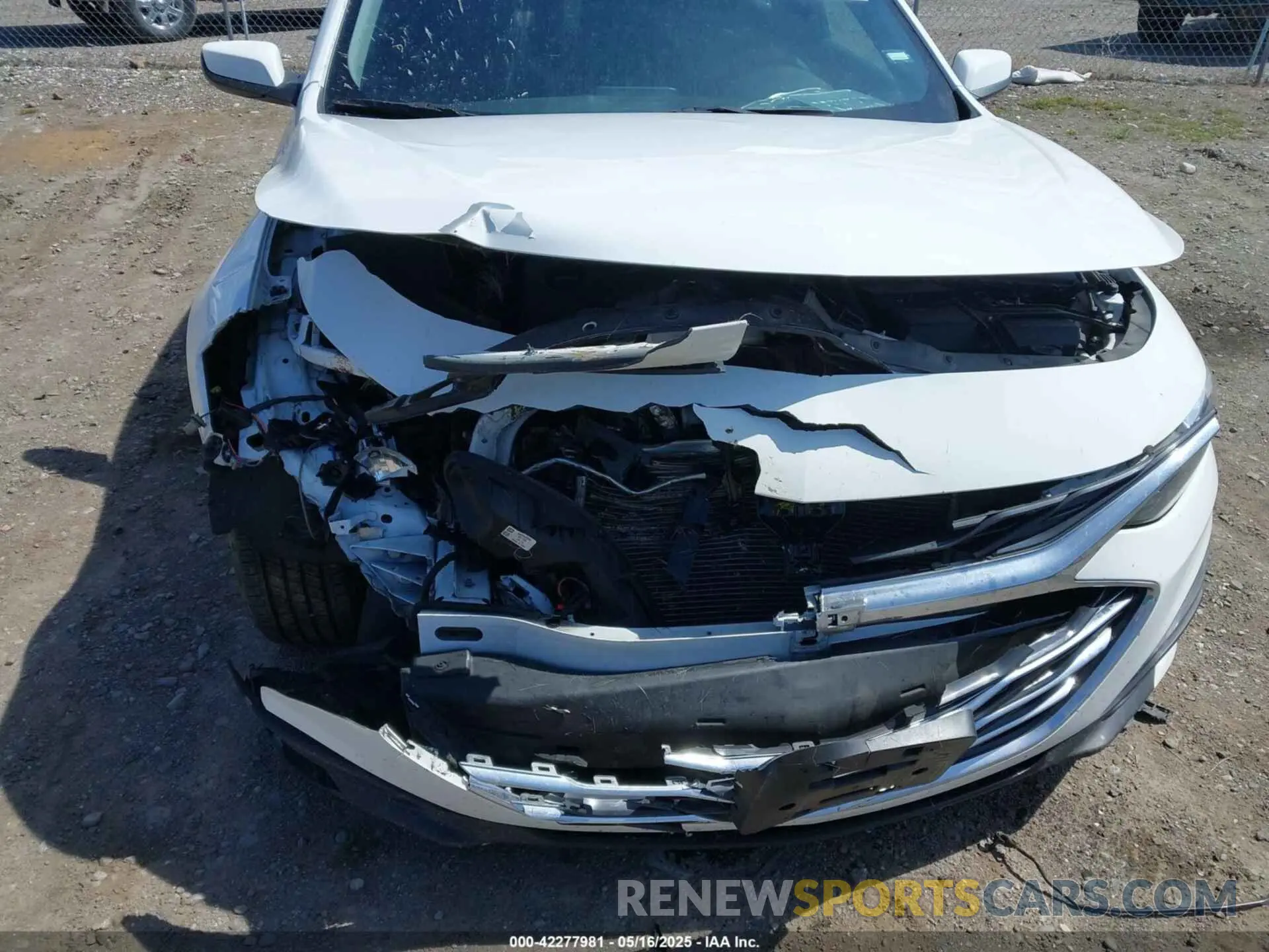 19 Photograph of a damaged car 1G1ZD5STXNF163011 CHEVROLET MALIBU 2022