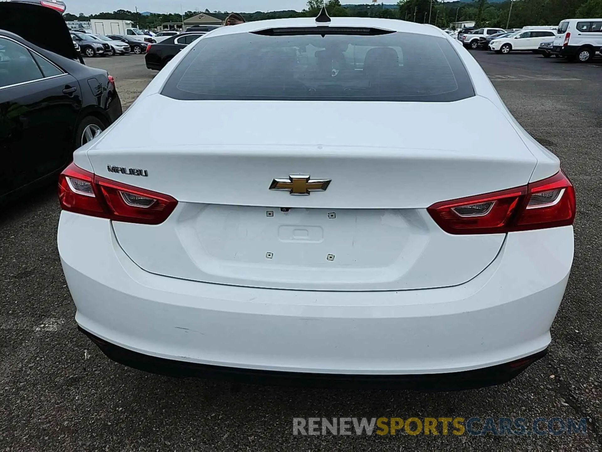 12 Photograph of a damaged car 1G1ZB5ST8PF112678 CHEVROLET MALIBU 2023