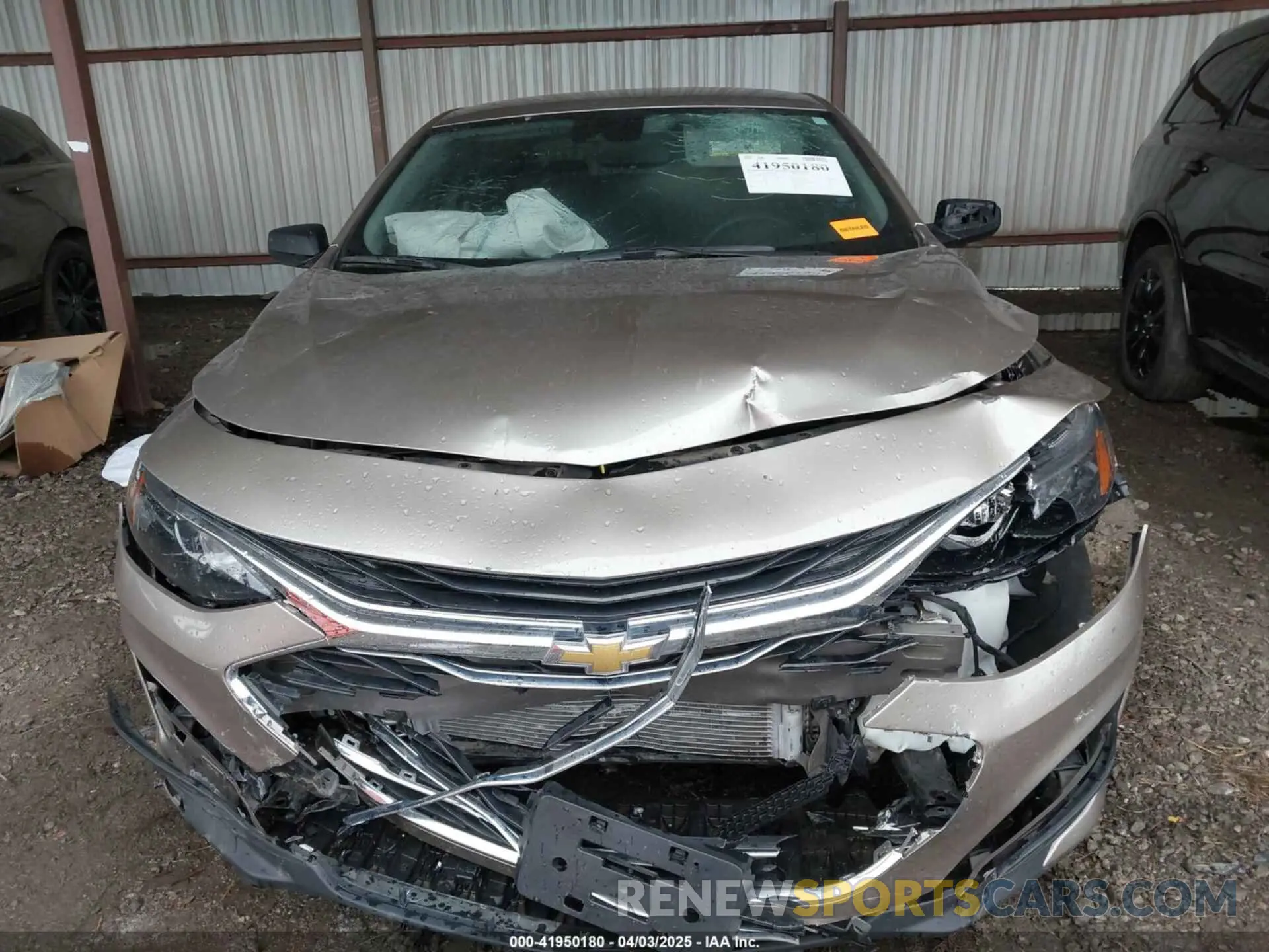 13 Photograph of a damaged car 1G1ZB5ST9PF116447 CHEVROLET MALIBU 2023