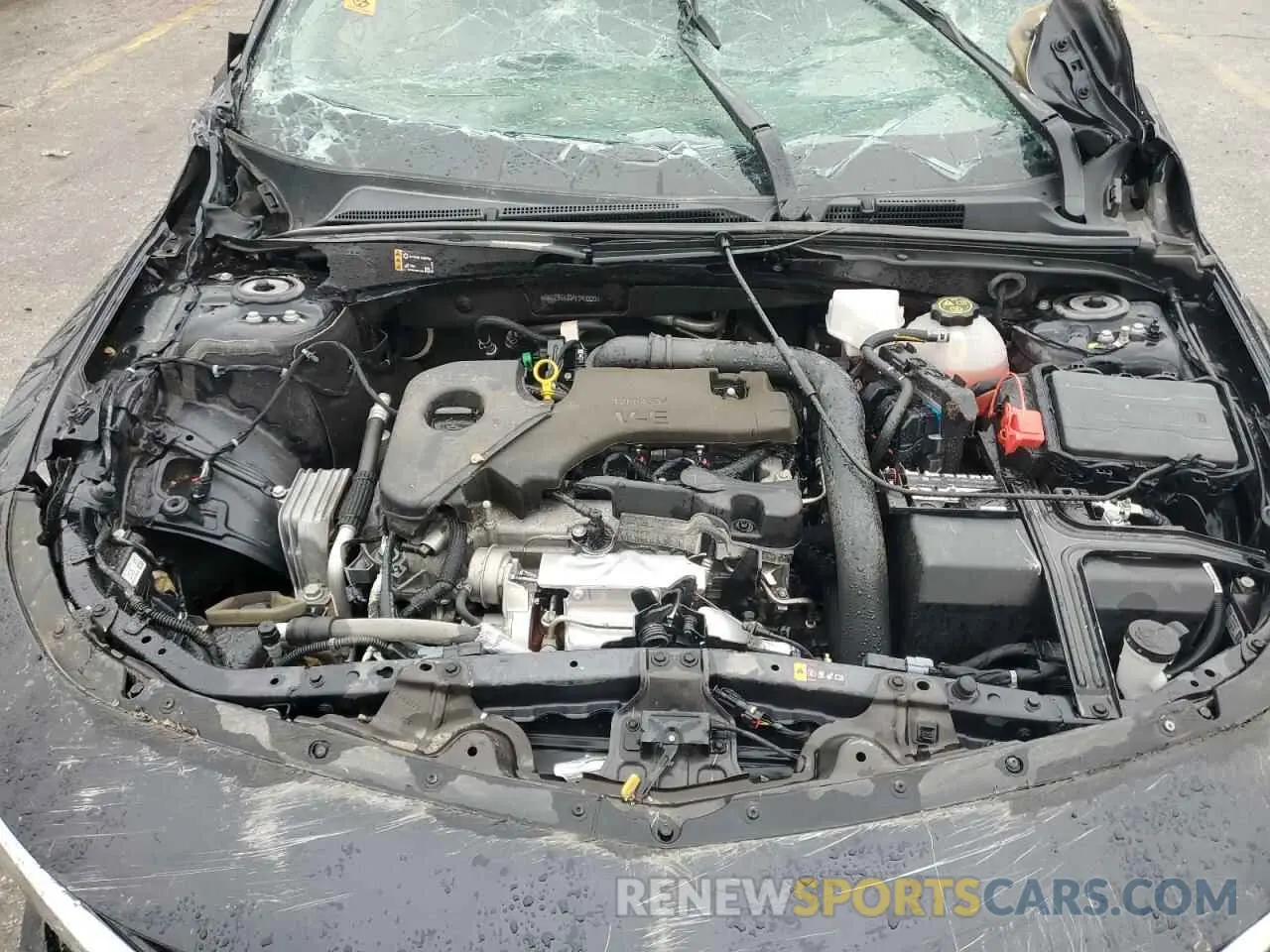 12 Photograph of a damaged car 1G1ZB5ST9PF240220 CHEVROLET MALIBU 2023