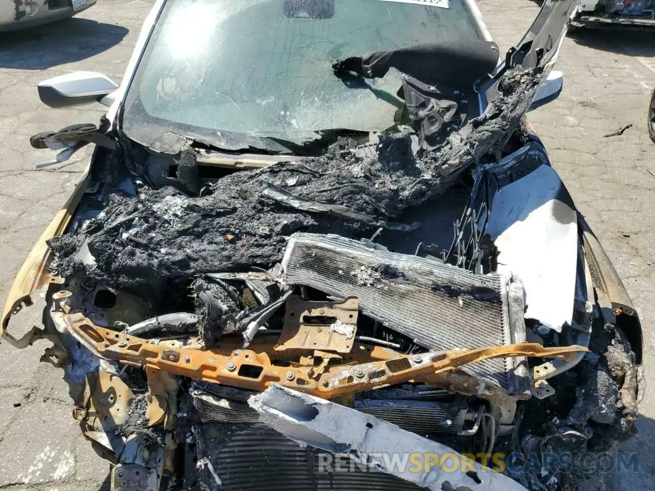 11 Photograph of a damaged car 1G1ZC5ST2PF184585 CHEVROLET MALIBU 2023