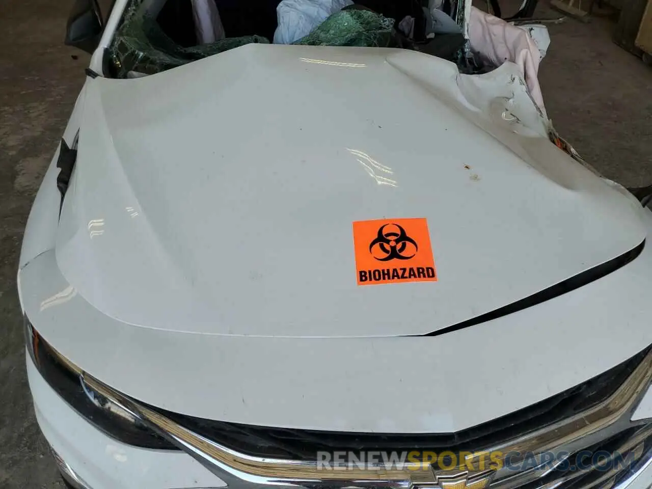 12 Photograph of a damaged car 1G1ZC5ST5PF129290 CHEVROLET MALIBU 2023