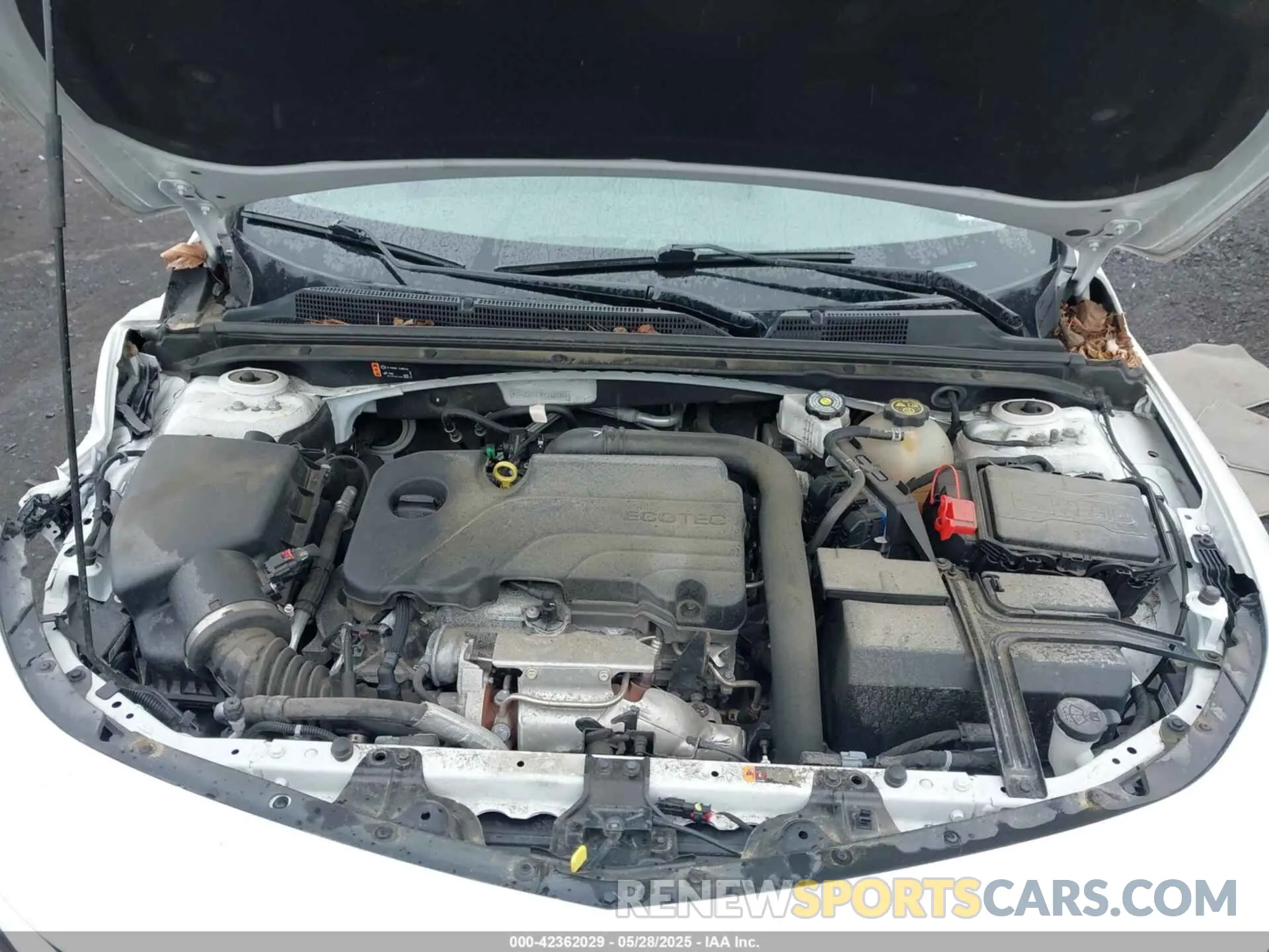 10 Photograph of a damaged car 1G1ZC5ST8PF112032 CHEVROLET MALIBU 2023