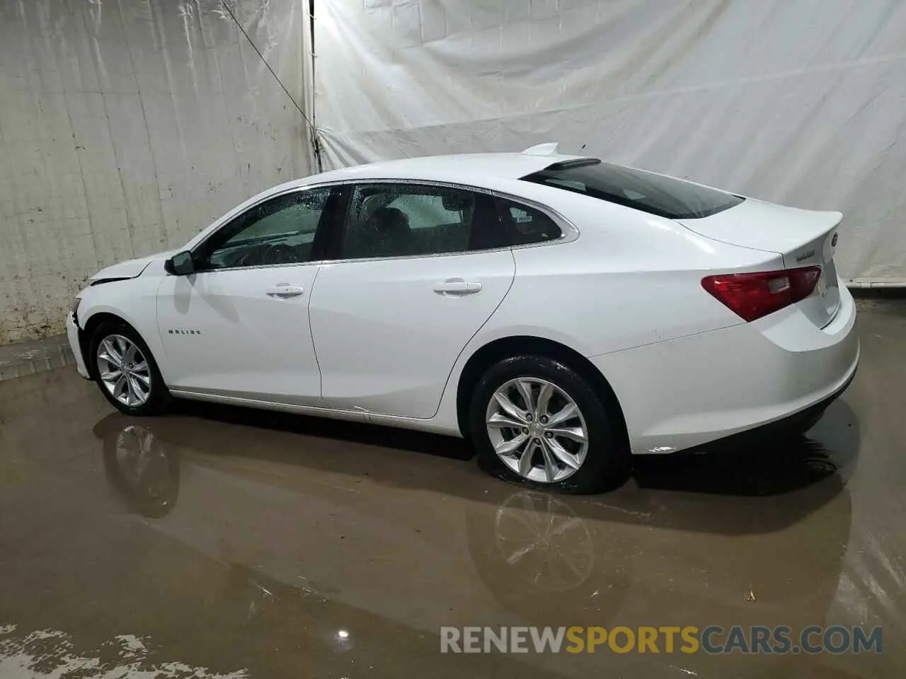2 Photograph of a damaged car 1G1ZD5ST0PF184095 CHEVROLET MALIBU 2023