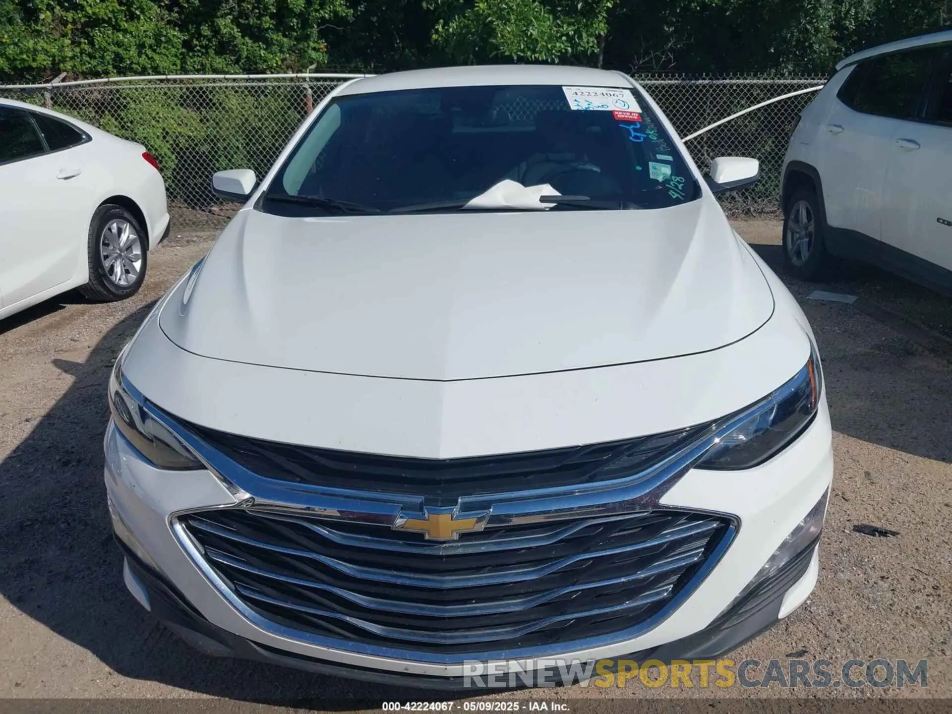 12 Photograph of a damaged car 1G1ZD5ST4PF205711 CHEVROLET MALIBU 2023