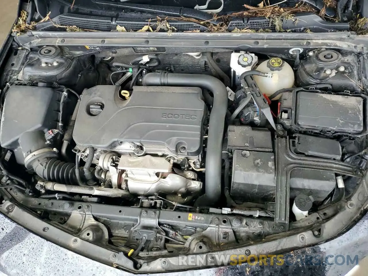 11 Photograph of a damaged car 1G1ZD5ST5PF138441 CHEVROLET MALIBU 2023