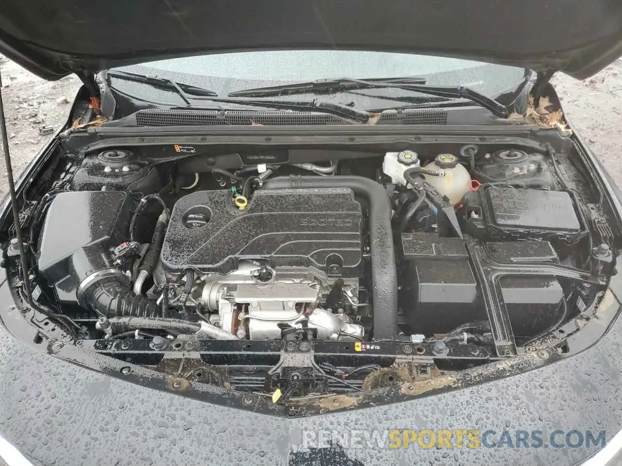 11 Photograph of a damaged car 1G1ZD5ST5PF246509 CHEVROLET MALIBU 2023