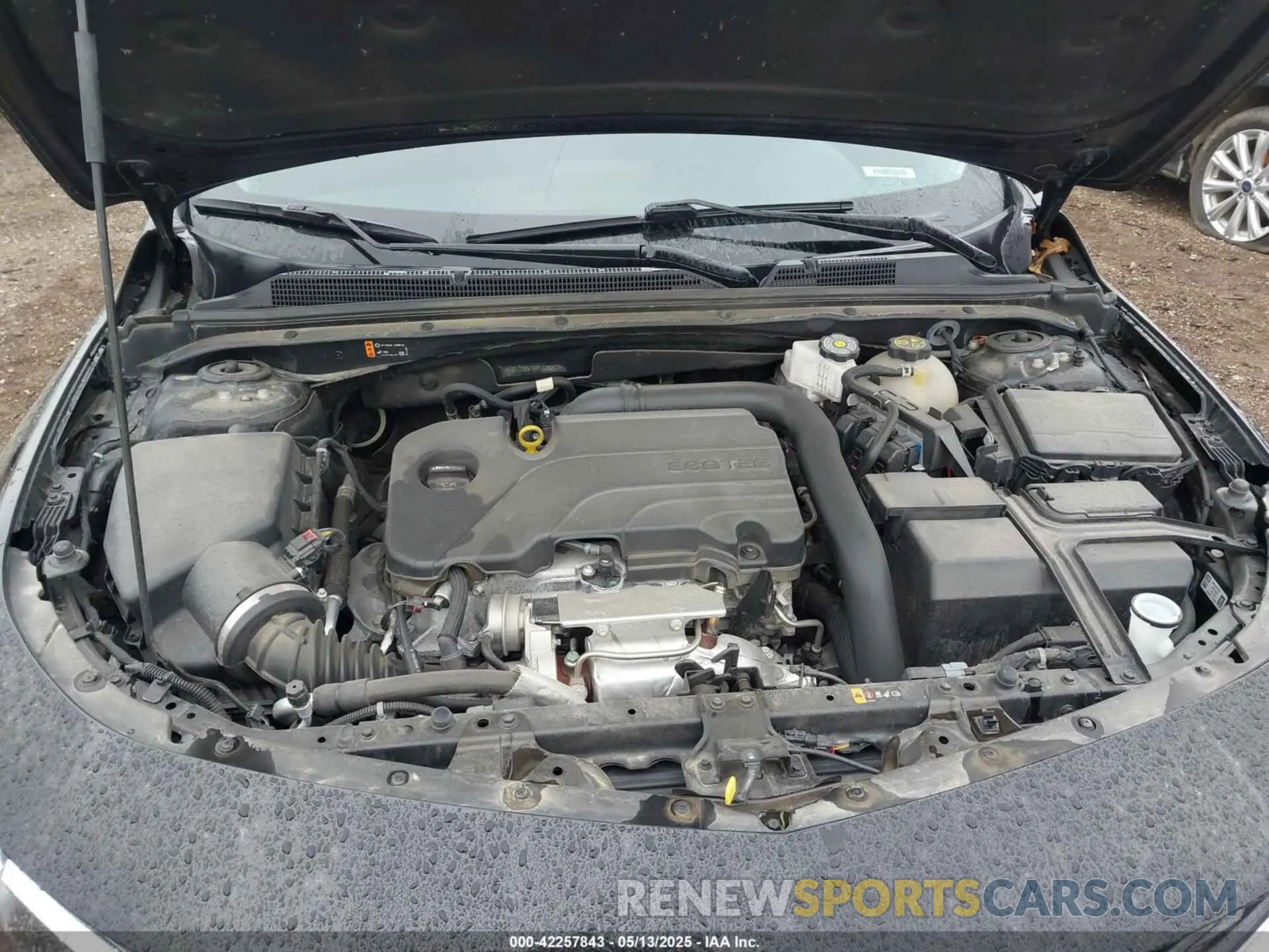 10 Photograph of a damaged car 1G1ZD5ST6PF229203 CHEVROLET MALIBU 2023