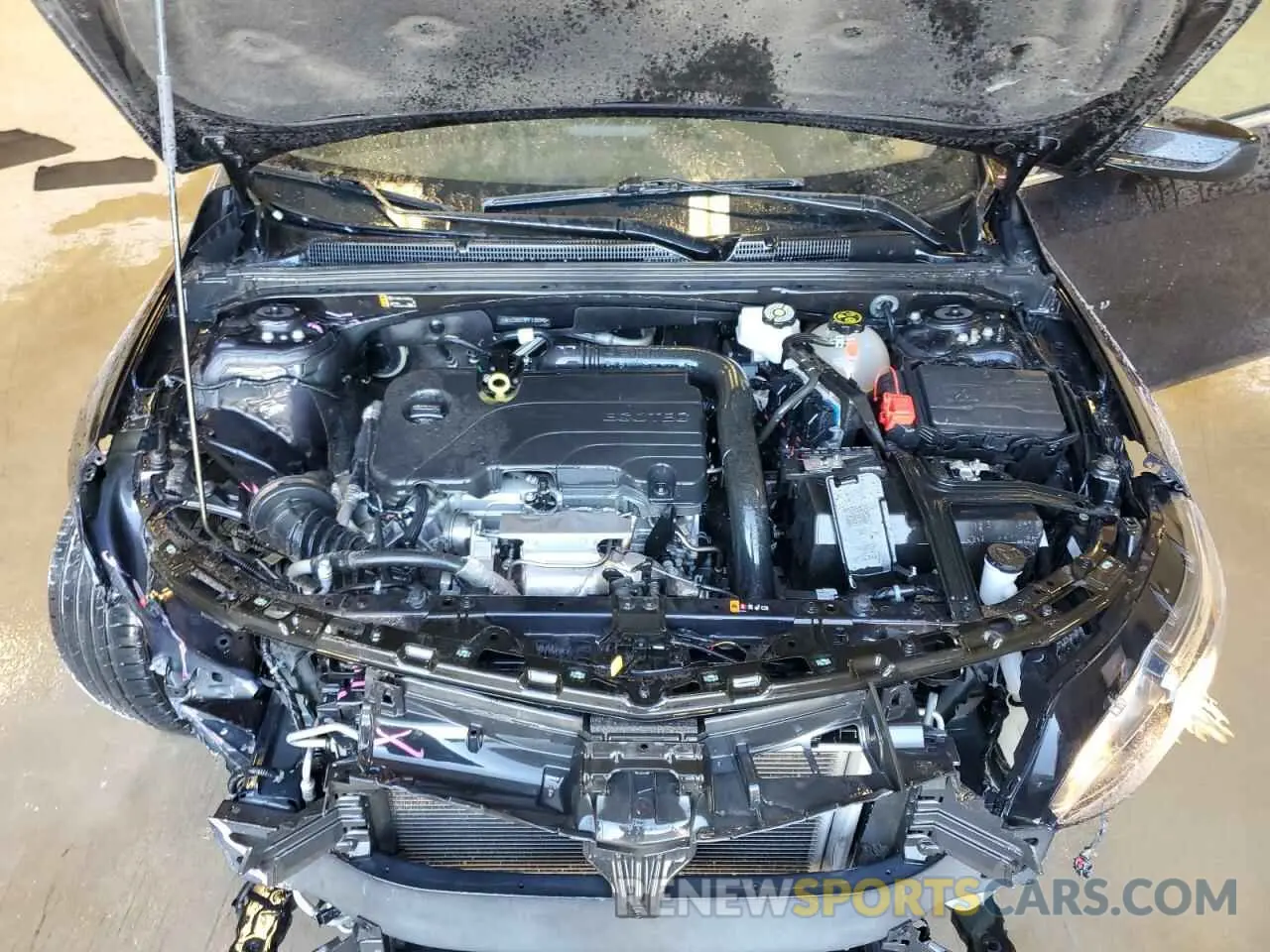 11 Photograph of a damaged car 1G1ZD5ST9PF135946 CHEVROLET MALIBU 2023
