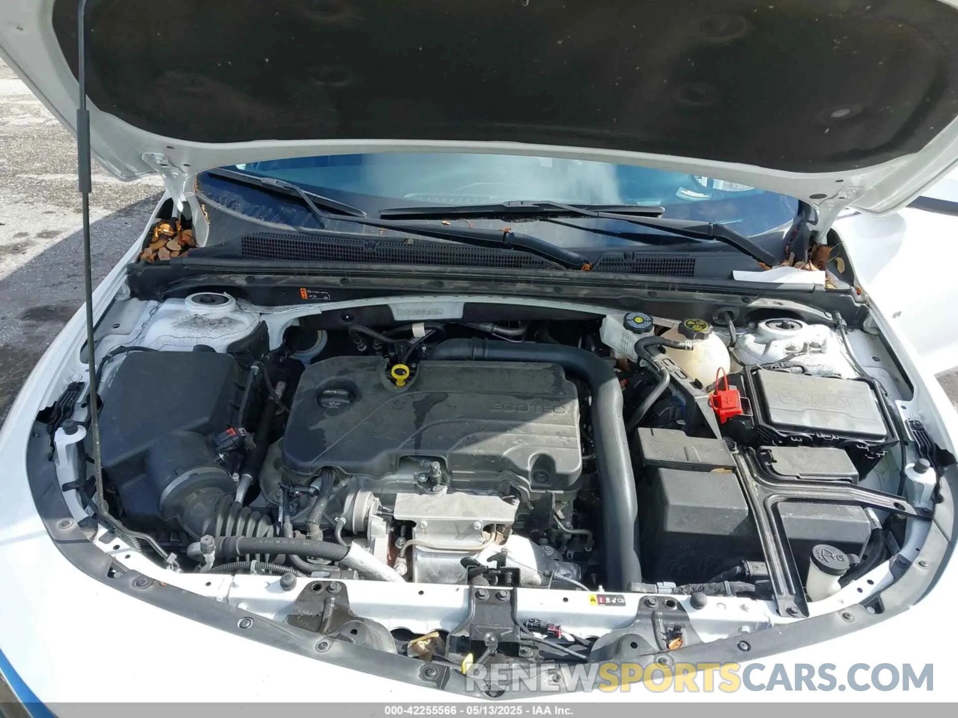 10 Photograph of a damaged car 1G1ZD5ST9PF207082 CHEVROLET MALIBU 2023