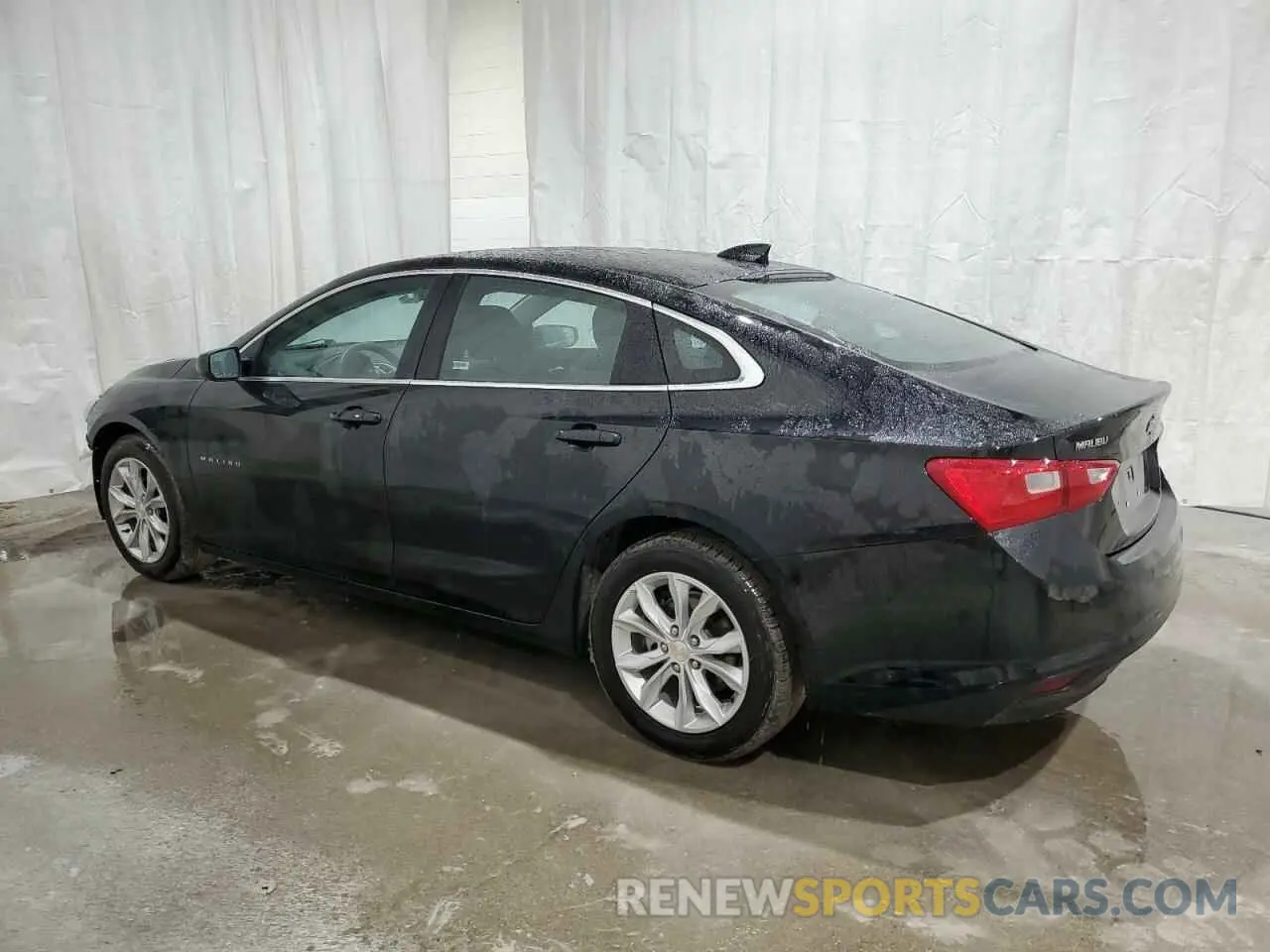 2 Photograph of a damaged car 1G1ZD5STXPF141173 CHEVROLET MALIBU 2023