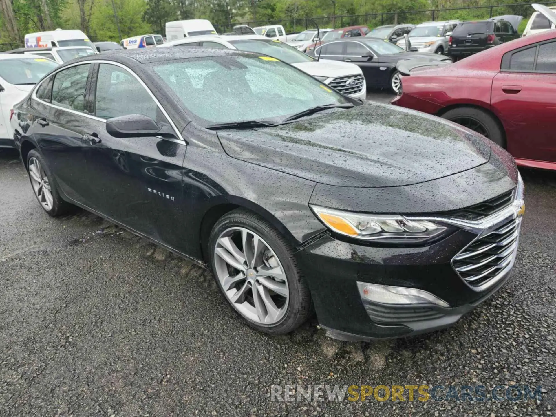 13 Photograph of a damaged car 1G1ZE5ST7PF128393 CHEVROLET MALIBU 2023