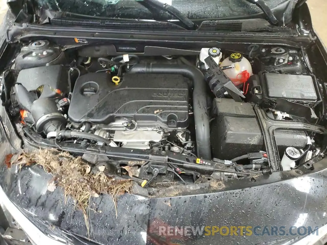 12 Photograph of a damaged car 1G1ZE5ST9PF177403 CHEVROLET MALIBU 2023