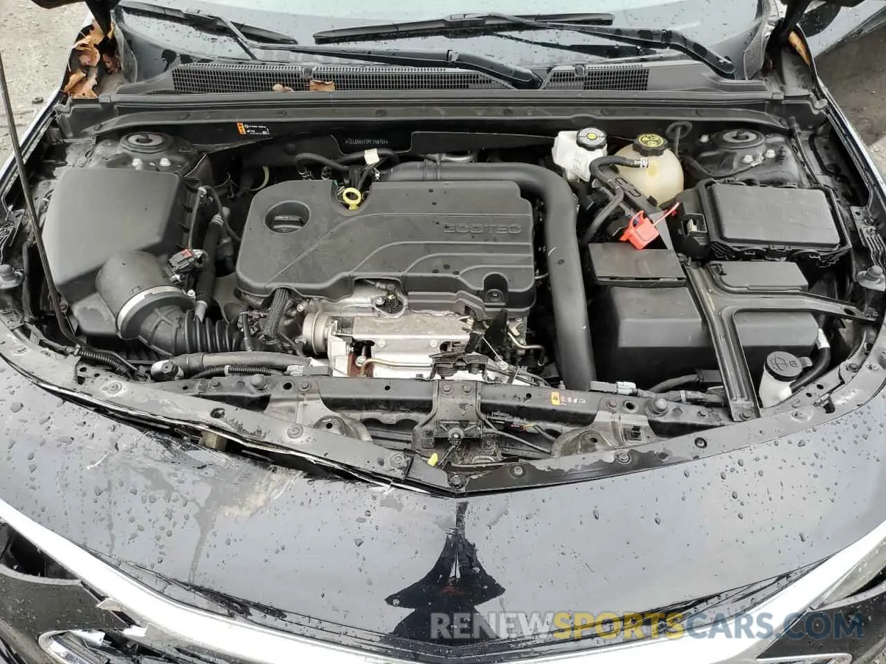 11 Photograph of a damaged car 1G1ZG5ST0PF158751 CHEVROLET MALIBU 2023