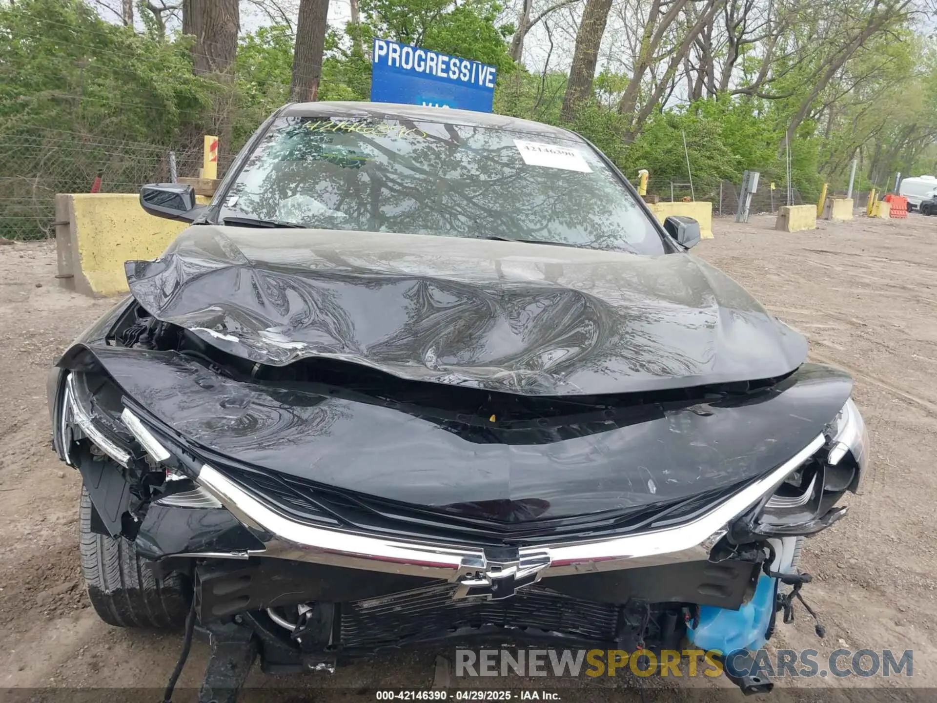 12 Photograph of a damaged car 1G1ZG5ST3PF121015 CHEVROLET MALIBU 2023