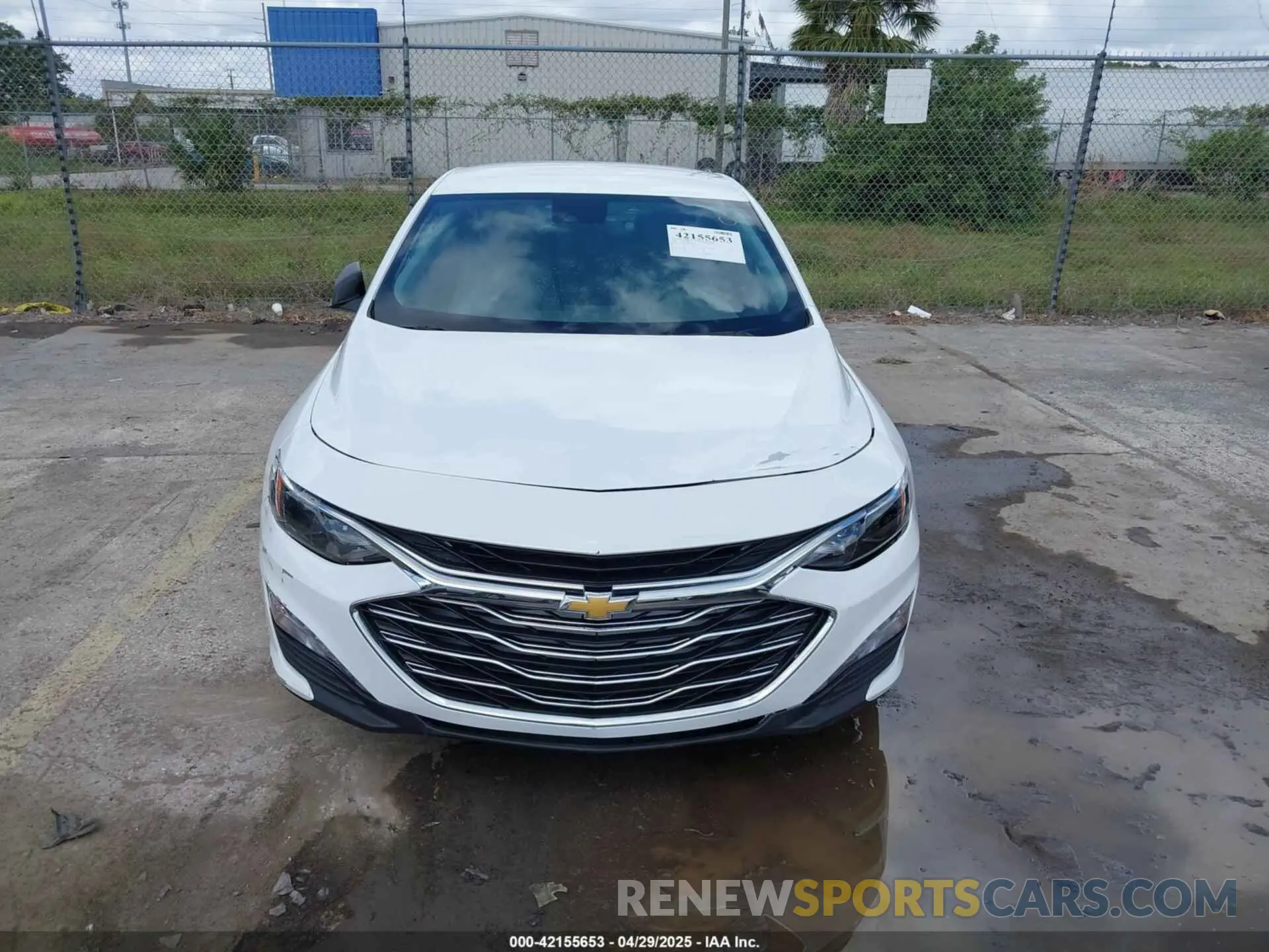 12 Photograph of a damaged car 1G1ZC5ST3RF226197 CHEVROLET MALIBU 2024