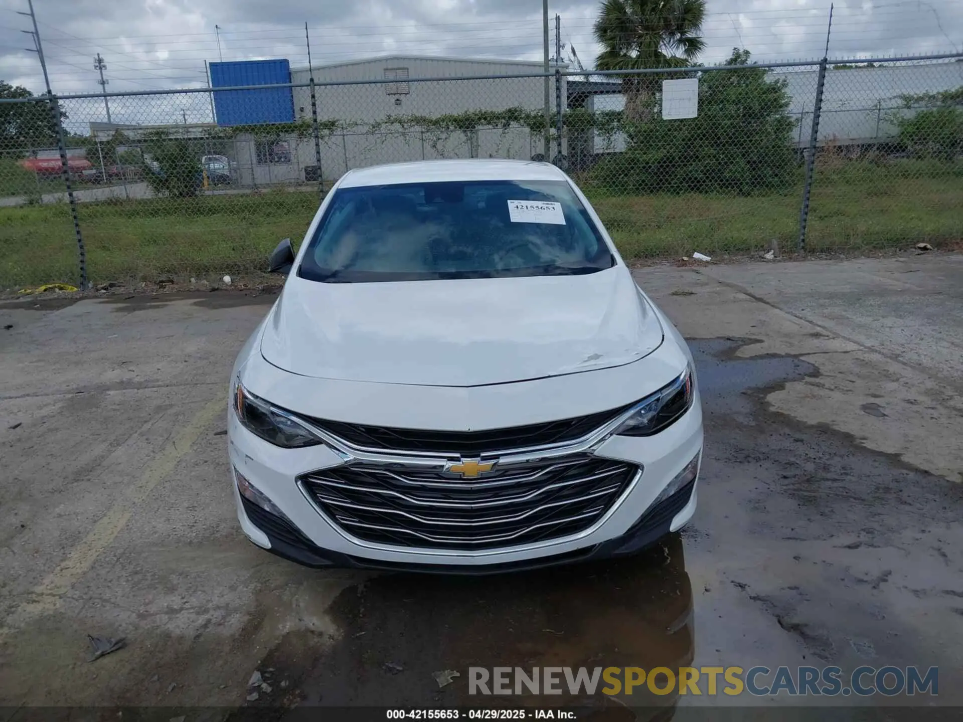 6 Photograph of a damaged car 1G1ZC5ST3RF226197 CHEVROLET MALIBU 2024
