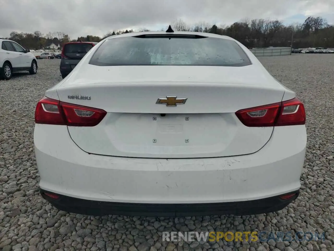 6 Photograph of a damaged car 1G1ZC5ST5RF247553 CHEVROLET MALIBU 2024