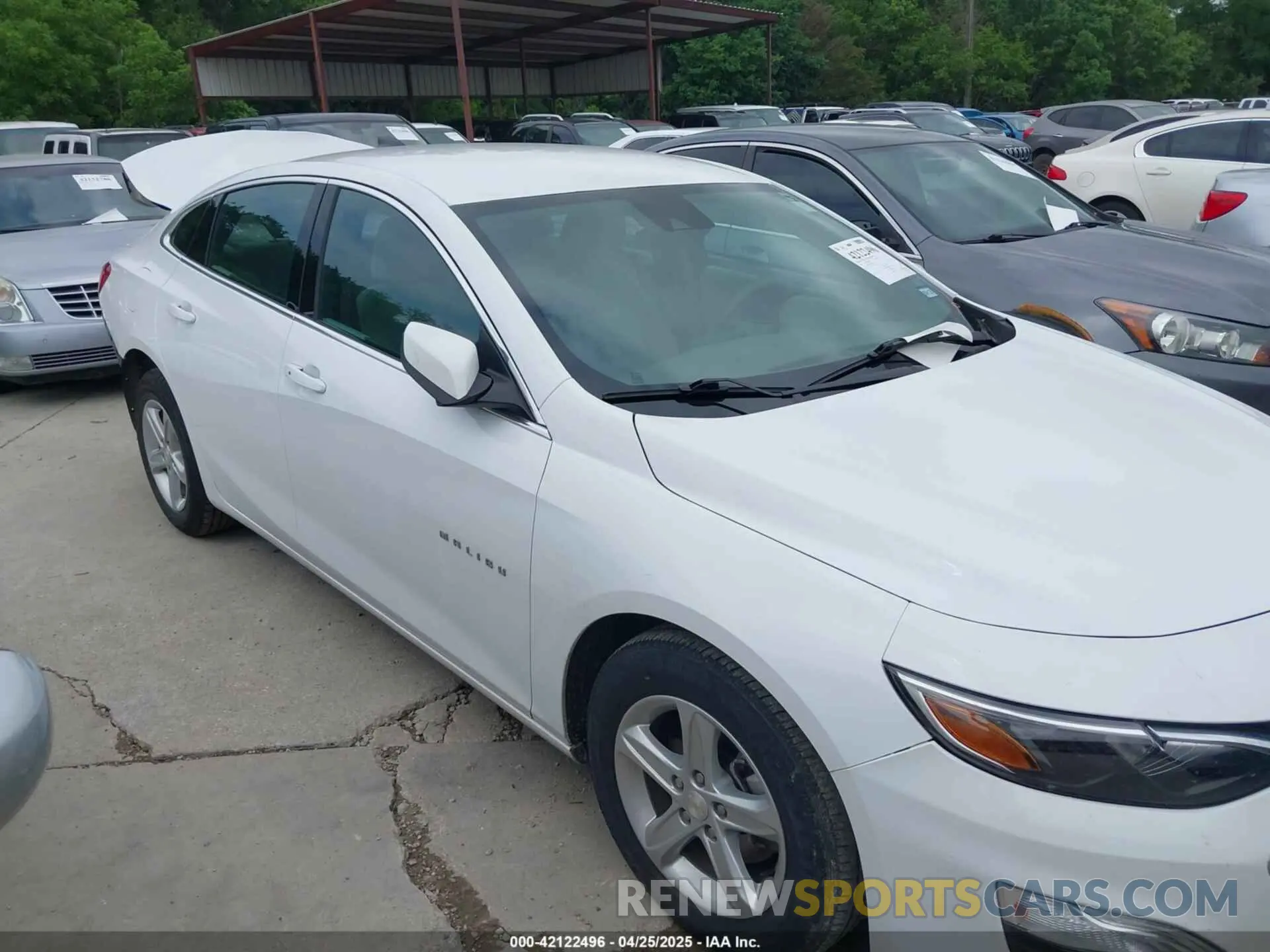 13 Photograph of a damaged car 1G1ZC5STXRF122502 CHEVROLET MALIBU 2024