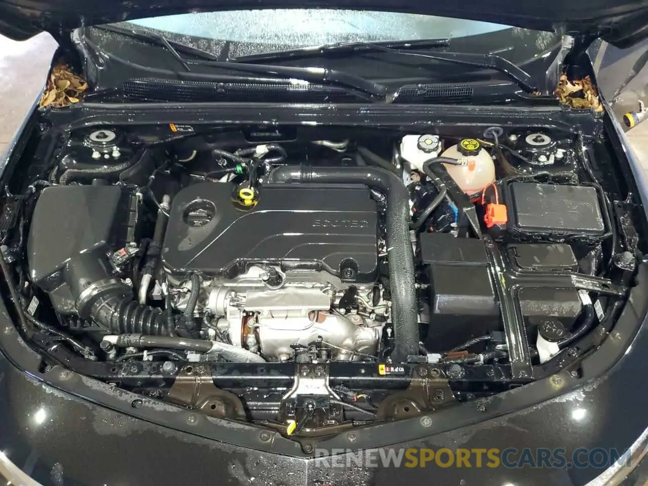 11 Photograph of a damaged car 1G1ZD5ST0RF105818 CHEVROLET MALIBU 2024