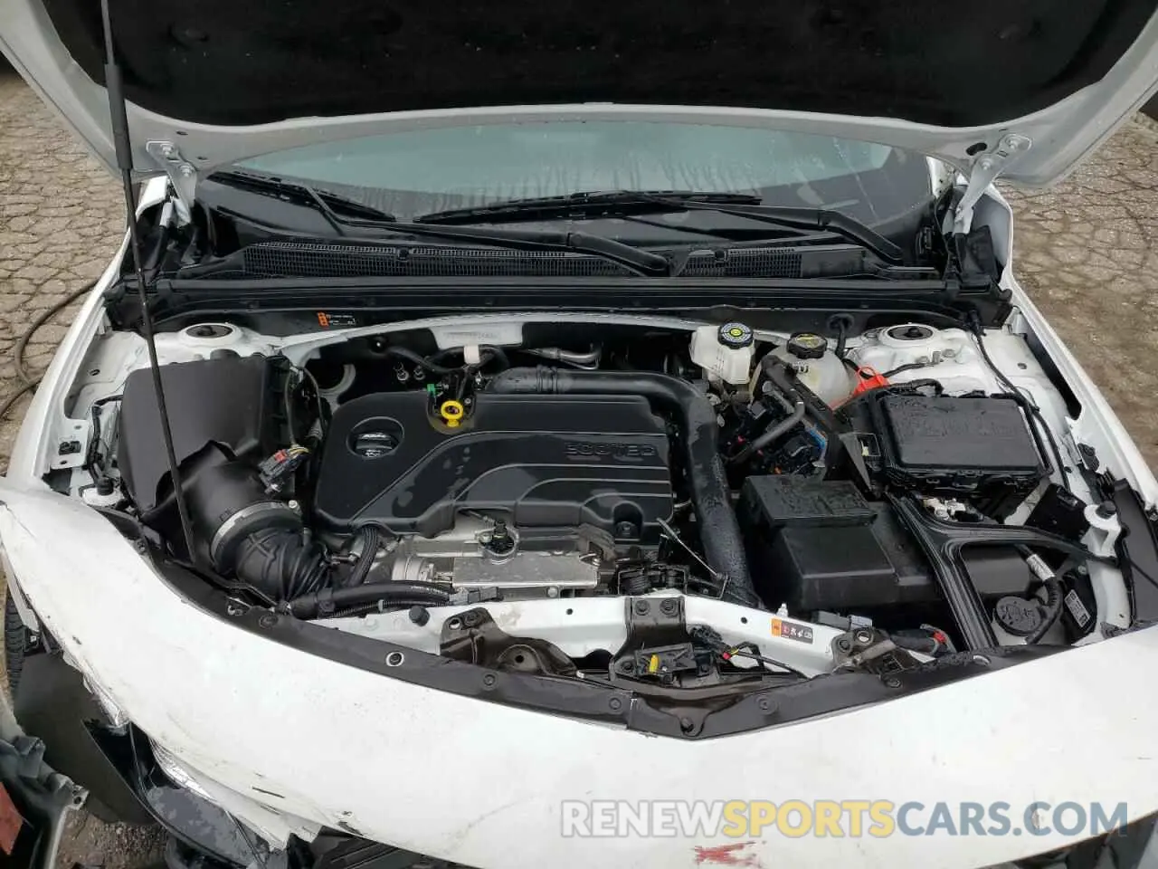 11 Photograph of a damaged car 1G1ZD5ST0RF245805 CHEVROLET MALIBU 2024