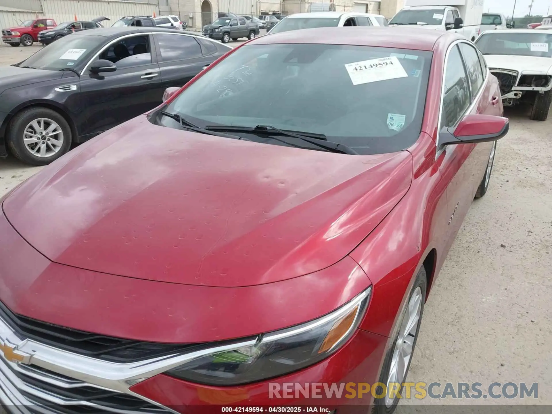 6 Photograph of a damaged car 1G1ZD5ST1RF103897 CHEVROLET MALIBU 2024