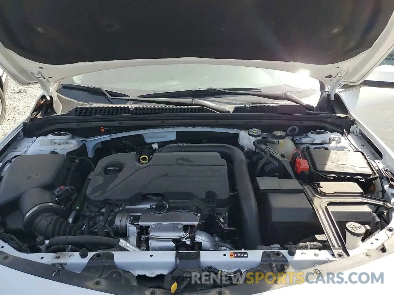11 Photograph of a damaged car 1G1ZD5ST1RF109277 CHEVROLET MALIBU 2024