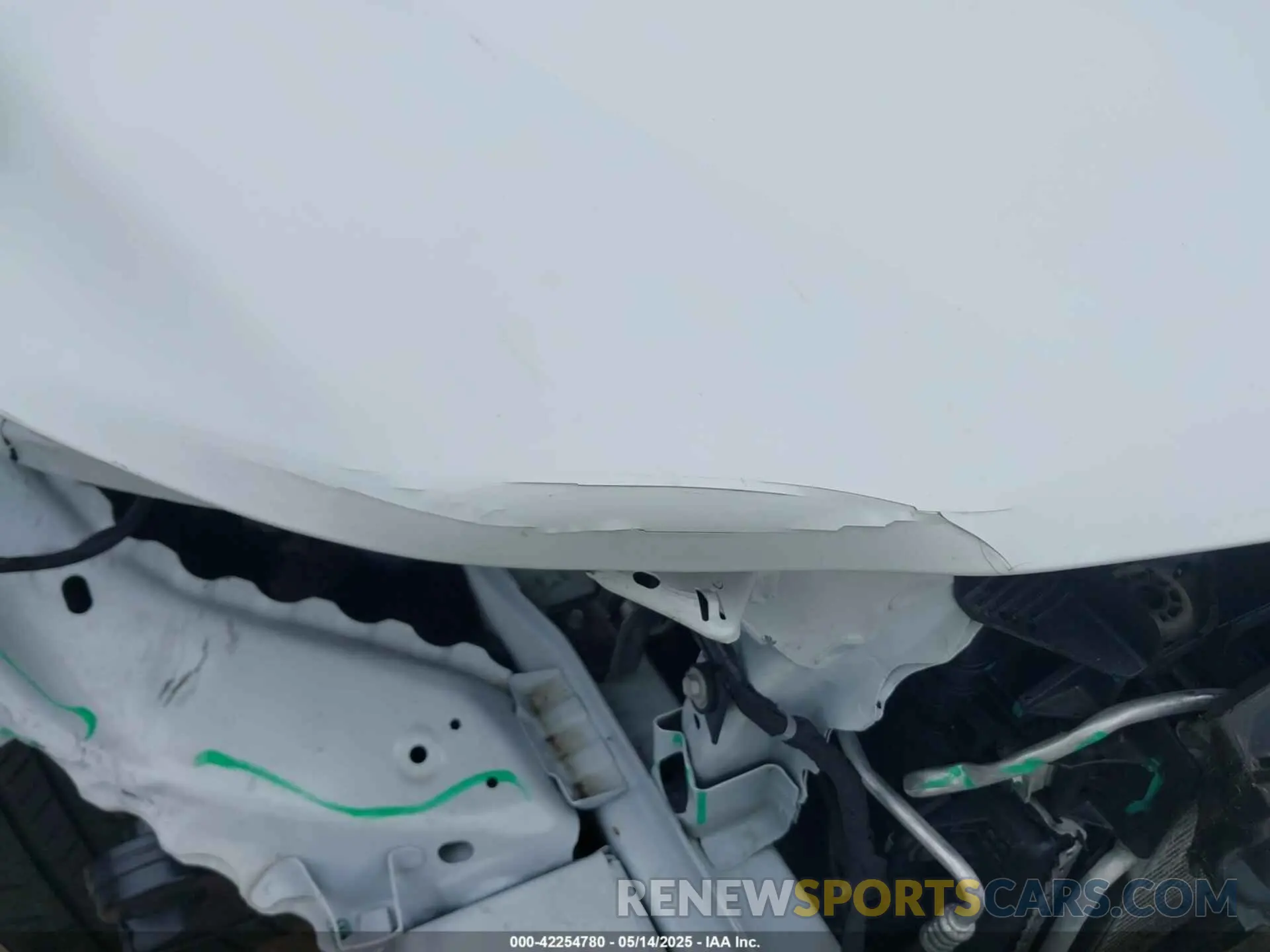 19 Photograph of a damaged car 1G1ZD5ST1RF110221 CHEVROLET MALIBU 2024