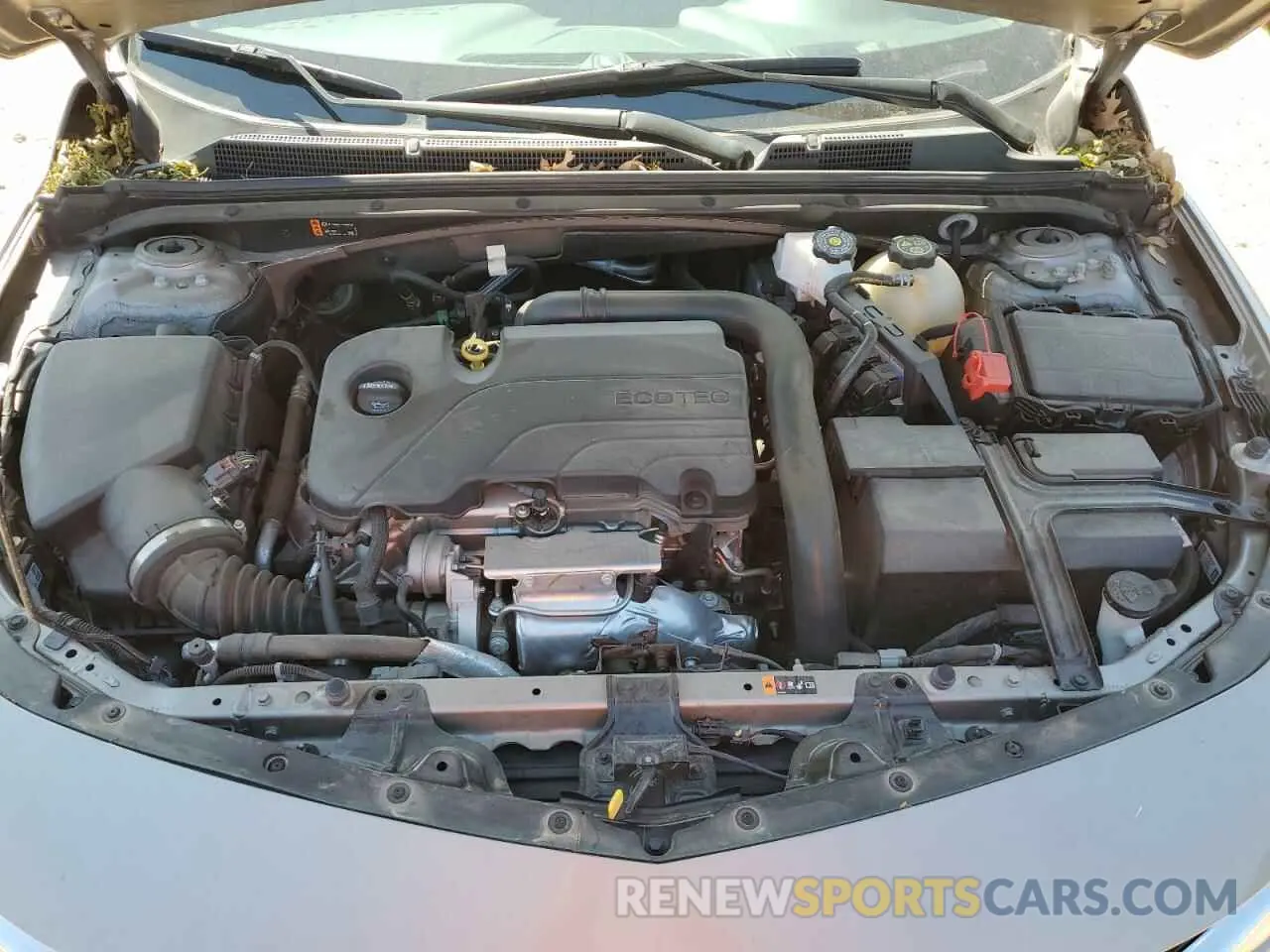 11 Photograph of a damaged car 1G1ZD5ST1RF118500 CHEVROLET MALIBU 2024