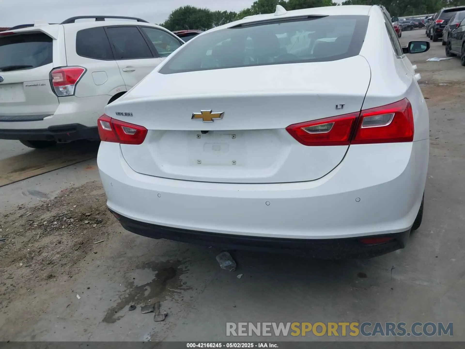 17 Photograph of a damaged car 1G1ZD5ST1RF179555 CHEVROLET MALIBU 2024