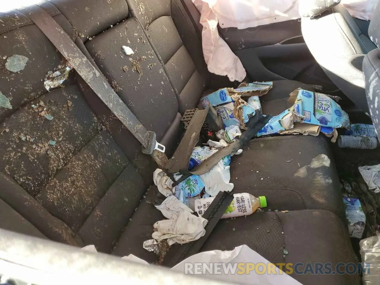 10 Photograph of a damaged car 1G1ZD5ST2RF211266 CHEVROLET MALIBU 2024
