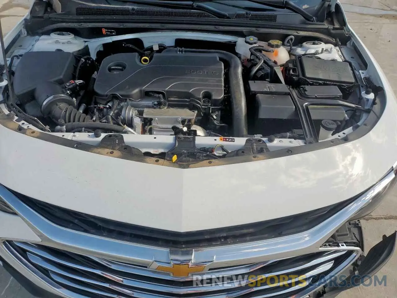 11 Photograph of a damaged car 1G1ZD5ST4RF117406 CHEVROLET MALIBU 2024