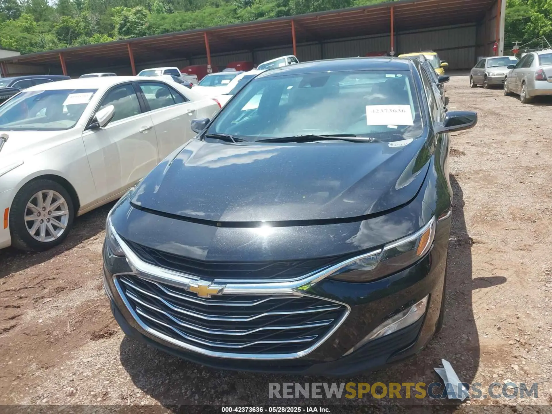 12 Photograph of a damaged car 1G1ZD5ST4RF185592 CHEVROLET MALIBU 2024