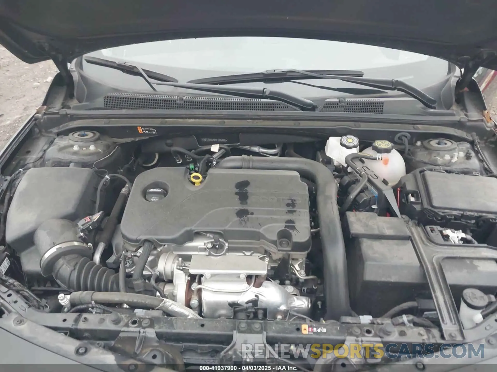 10 Photograph of a damaged car 1G1ZD5ST4RF185866 CHEVROLET MALIBU 2024
