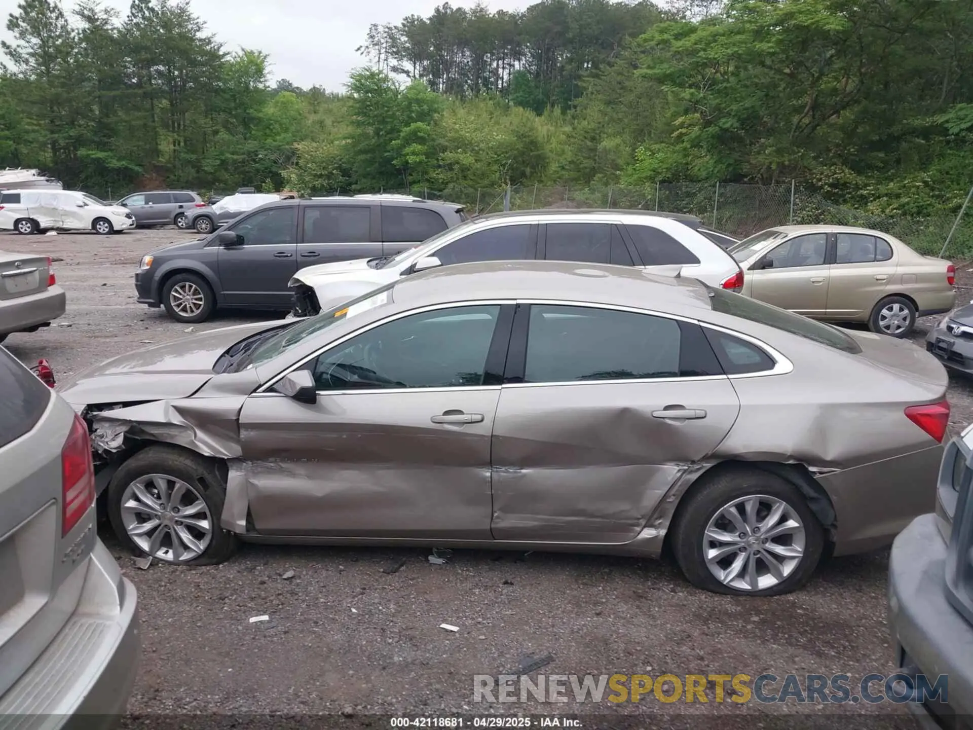14 Photograph of a damaged car 1G1ZD5ST4RF194518 CHEVROLET MALIBU 2024