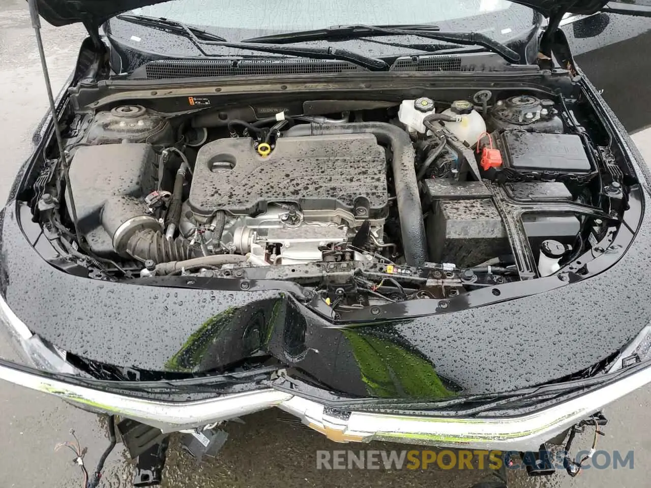 11 Photograph of a damaged car 1G1ZD5ST4RF197208 CHEVROLET MALIBU 2024