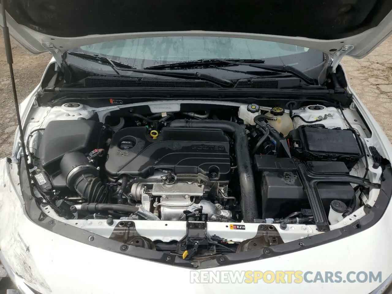 11 Photograph of a damaged car 1G1ZD5ST5RF106348 CHEVROLET MALIBU 2024