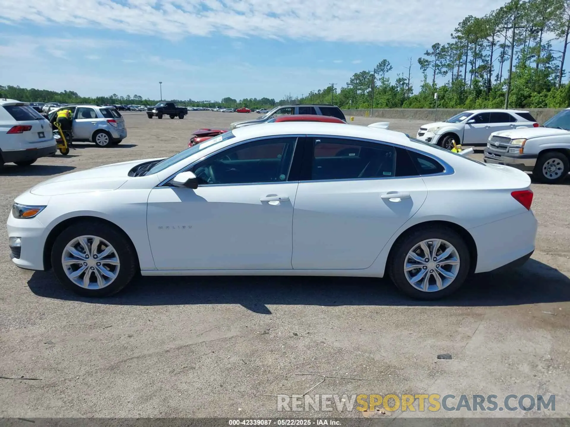 14 Photograph of a damaged car 1G1ZD5ST5RF176173 CHEVROLET MALIBU 2024