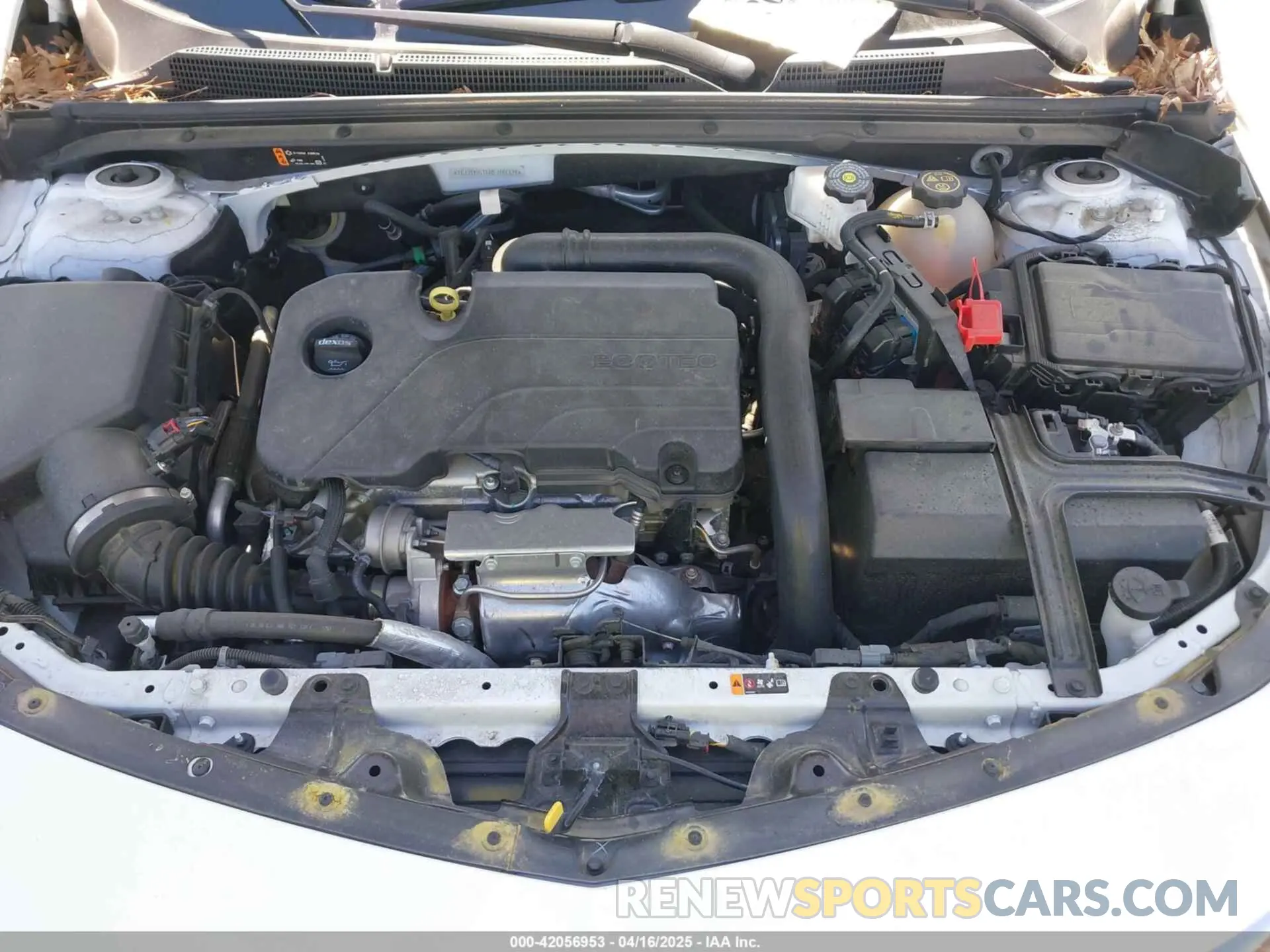 10 Photograph of a damaged car 1G1ZD5ST6RF109324 CHEVROLET MALIBU 2024